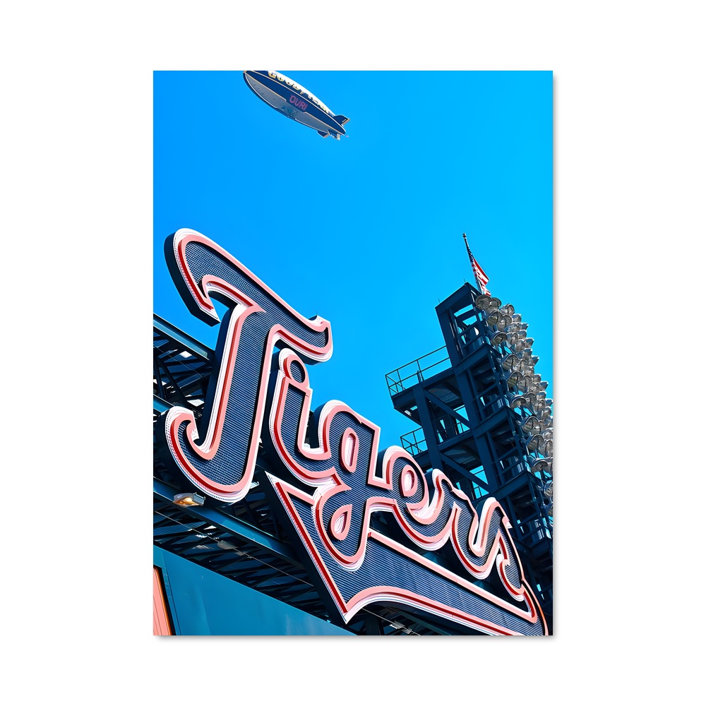 Poster T-Rex Fury – affiche Baseball